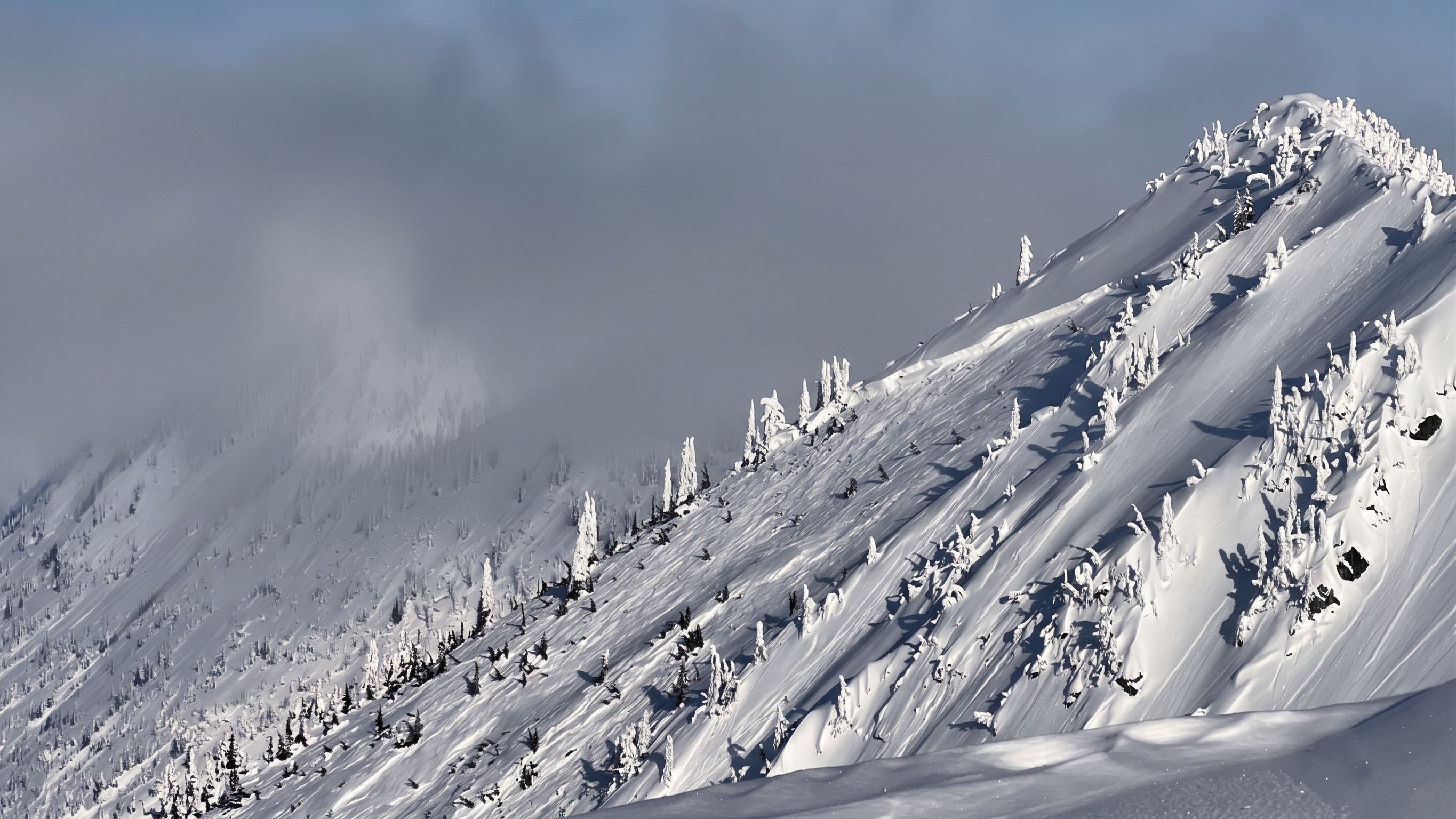 Snow-covered ridgeline with rime-crusted trees under low cloud