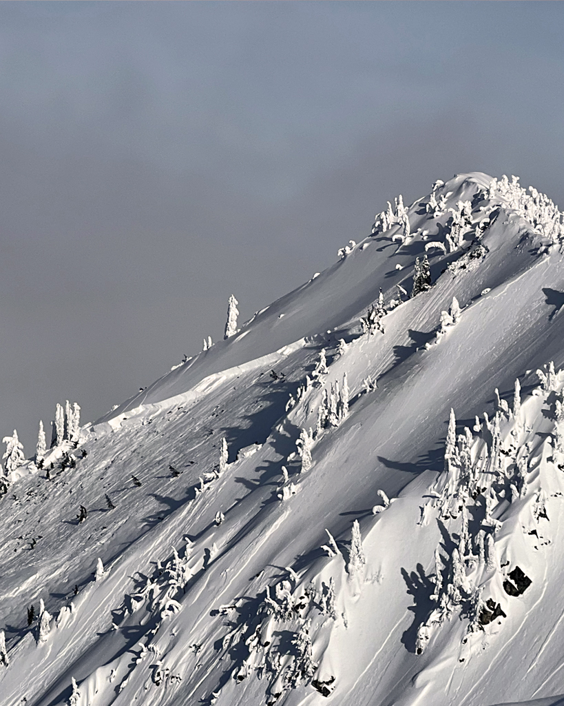 Snow-covered ridgeline with rime-crusted trees under low cloud