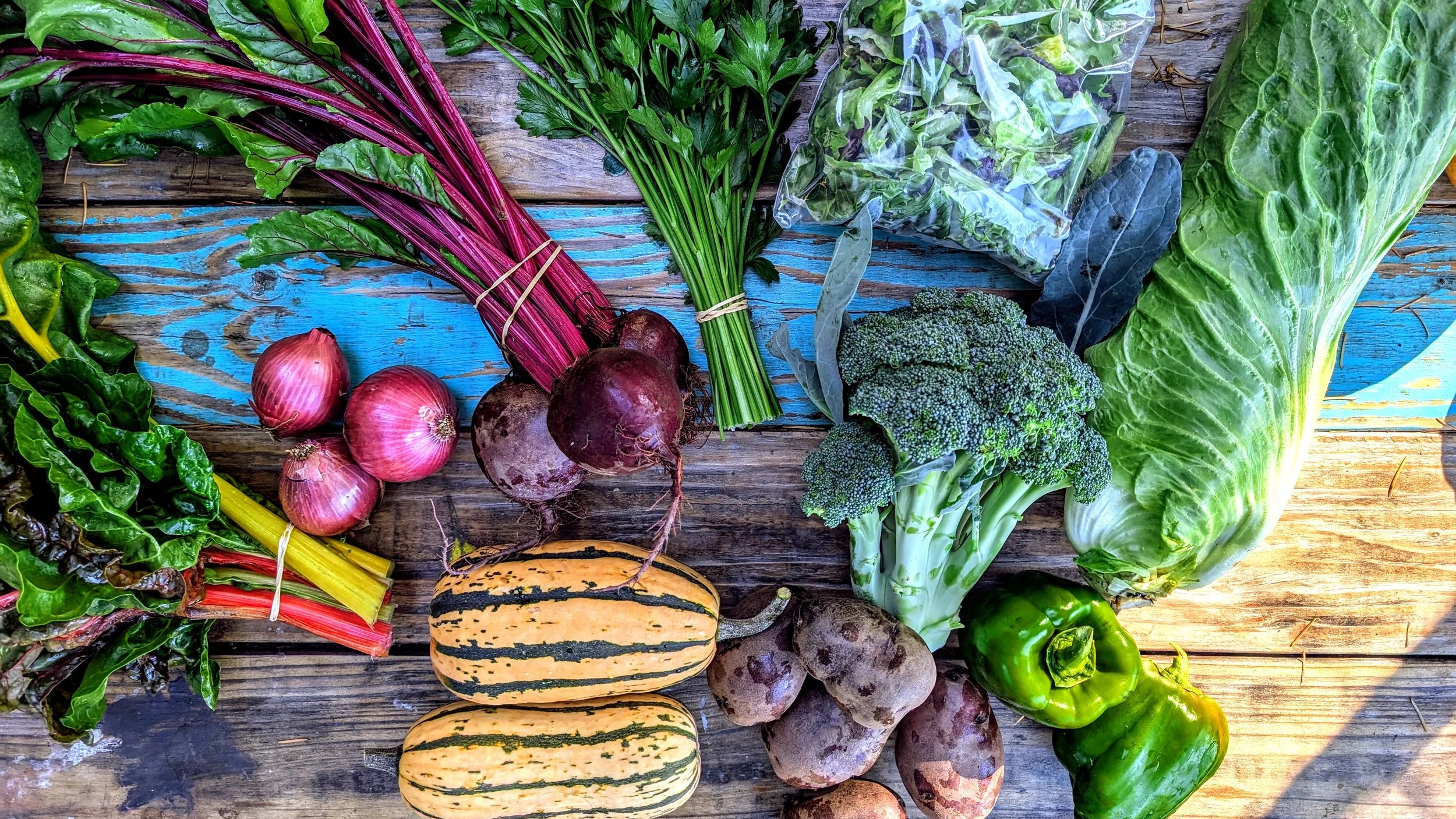 Dishing Up The Dirt recipe site on screen